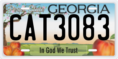 GA license plate CAT3083