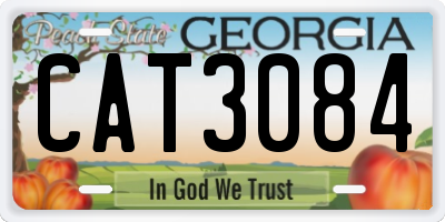 GA license plate CAT3084