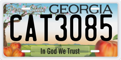 GA license plate CAT3085