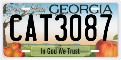 GA license plate CAT3087