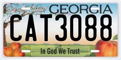 GA license plate CAT3088