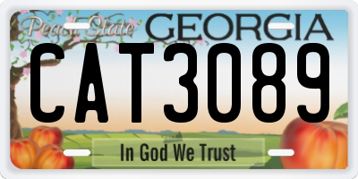 GA license plate CAT3089
