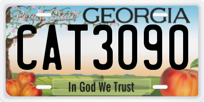 GA license plate CAT3090