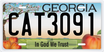 GA license plate CAT3091