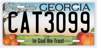 GA license plate CAT3099