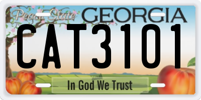 GA license plate CAT3101