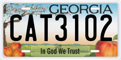 GA license plate CAT3102
