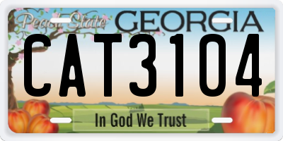 GA license plate CAT3104