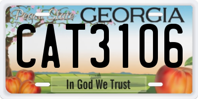 GA license plate CAT3106