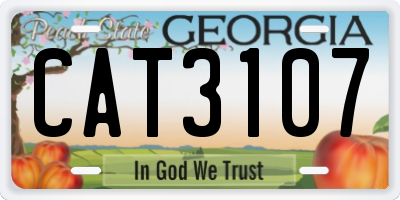 GA license plate CAT3107