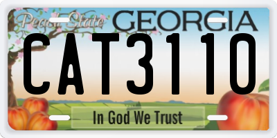 GA license plate CAT3110