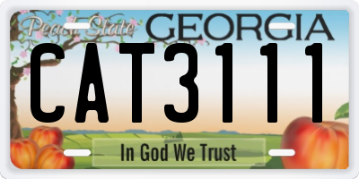GA license plate CAT3111