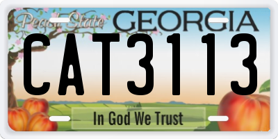 GA license plate CAT3113