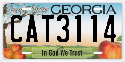 GA license plate CAT3114