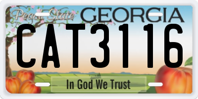 GA license plate CAT3116