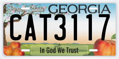 GA license plate CAT3117
