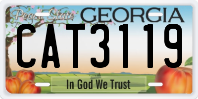 GA license plate CAT3119