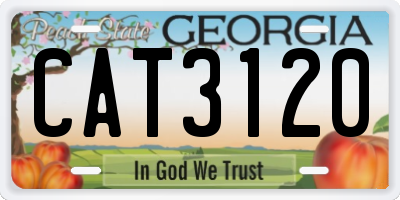 GA license plate CAT3120