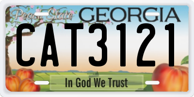 GA license plate CAT3121