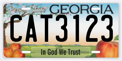 GA license plate CAT3123