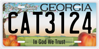 GA license plate CAT3124