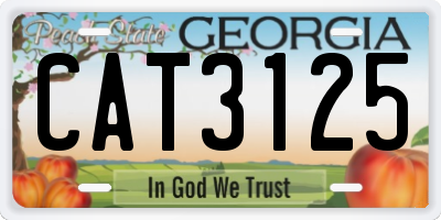 GA license plate CAT3125