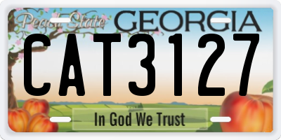 GA license plate CAT3127