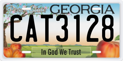 GA license plate CAT3128