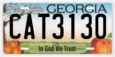 GA license plate CAT3130
