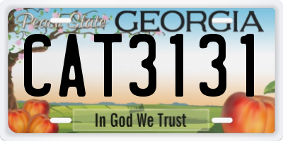 GA license plate CAT3131