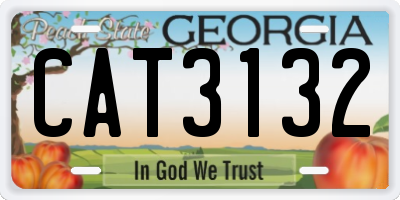 GA license plate CAT3132