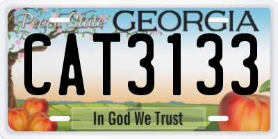 GA license plate CAT3133
