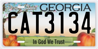 GA license plate CAT3134
