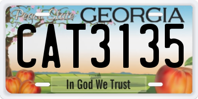 GA license plate CAT3135