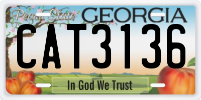GA license plate CAT3136