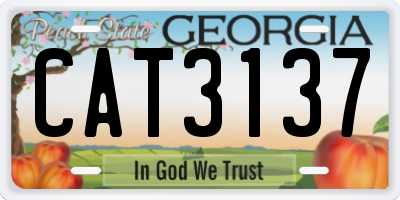 GA license plate CAT3137