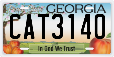GA license plate CAT3140