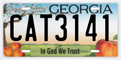 GA license plate CAT3141