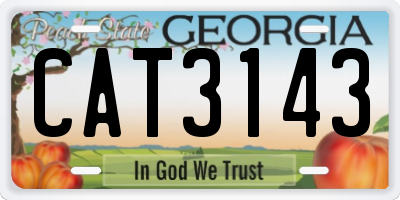 GA license plate CAT3143