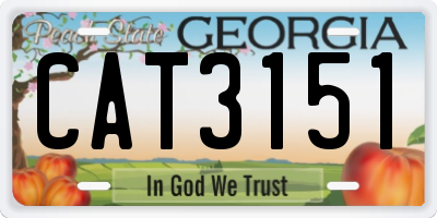 GA license plate CAT3151