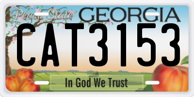 GA license plate CAT3153
