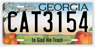 GA license plate CAT3154