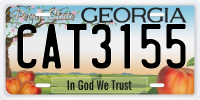 GA license plate CAT3155