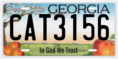 GA license plate CAT3156