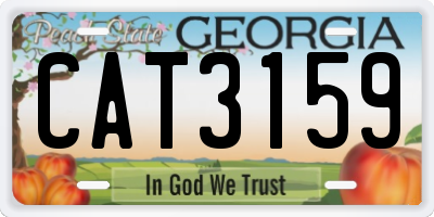 GA license plate CAT3159