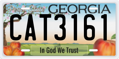 GA license plate CAT3161