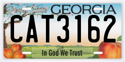 GA license plate CAT3162