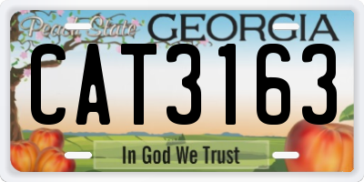 GA license plate CAT3163