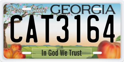 GA license plate CAT3164
