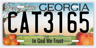 GA license plate CAT3165
